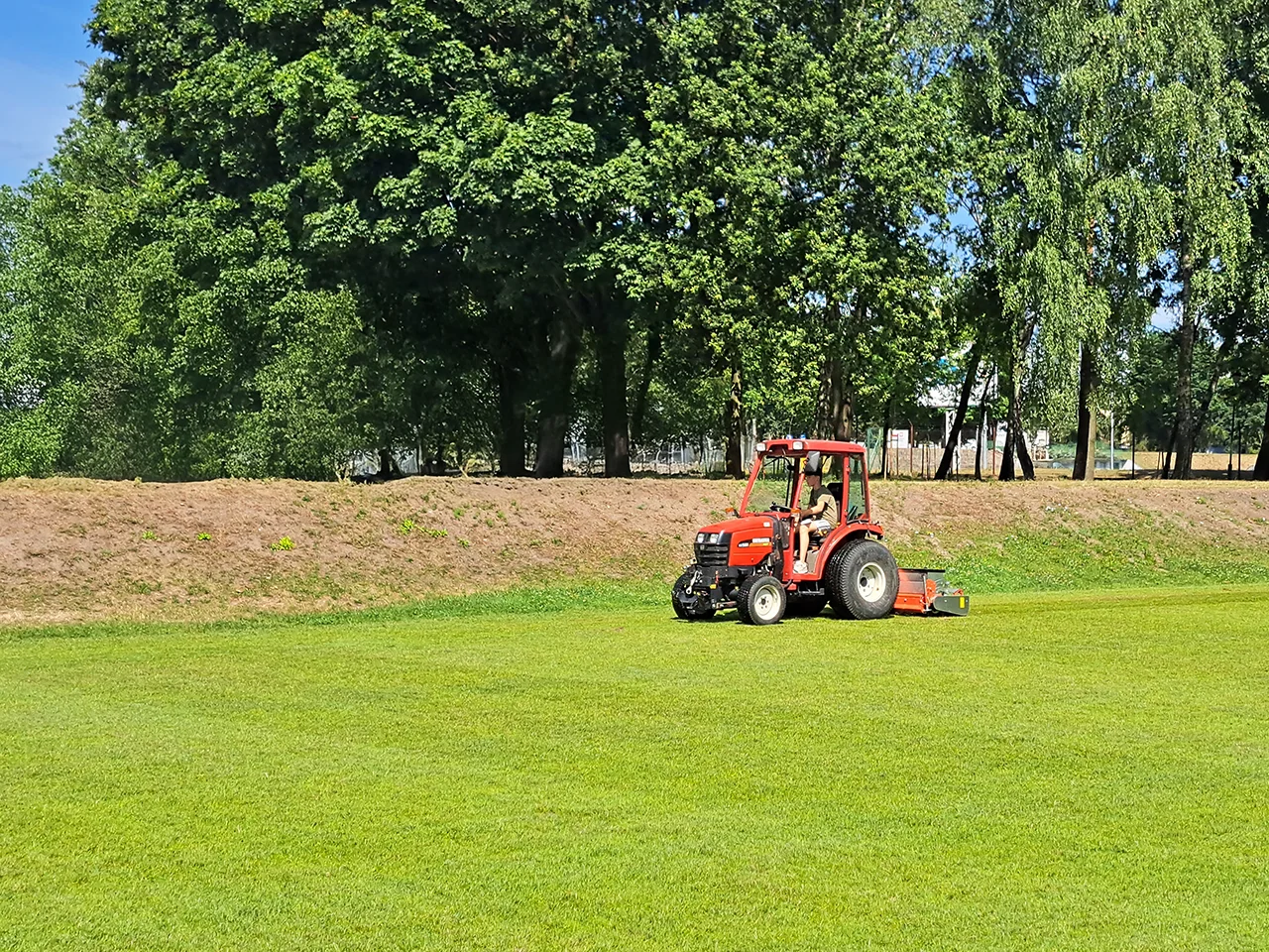 Dosiew wgłębny trawy